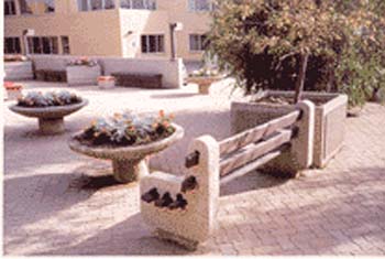LCC---court-yard
